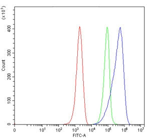 Flow cytometry testing of mouse ANA-1 cells with CD80 antibody at 1ug/million cells (blocked with goat sera); Red=cells alone, Green=isotype control, Blue= CD80 antibody.