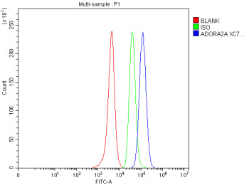 Flow Cytometry analysis of SH-SY5Y cells using anti-ADORA2A antibody. Overlay histogram showing SH-SY5Y cells stained with (Blue line). The cells were fixed with 4% paraformaldehyde and blocked with 10% normal goat serum. And then incubated with rabbit anti-ADORA2A antibody (1 ug/million cells) for 30 min at 20oC. DyLight 488 conjugated goat anti-rabbit IgG (5-10 ug/million cells) was used as secondary antibody for 30 min at 20oC.