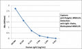 Sandwich ELISA of human IgA2 using recombinant Human IgA2 antibody as the capture (100ng/well), and <a href=../tds/recombinant-human-ig-light-chains-antibody-rabbit-monoclonal-r20180btn>biotinylated anti-human light chains (kappa+lambda) antibody clone RM129</a> as the detect, followed by an alkaline phosphatase conjugated streptavidin.