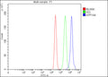 Flow Cytometry analysis of MCF-7 cells using anti-ATP1A4 antibody. Overlay histogram showing MCF-7 cells stained with (Blue line). The cells were fixed with 4% paraformaldehyde and blocked with 10% normal goat serum. And then incubated with rabbit anti-ATP1A4 antibody (1 ug/million cells) for 30 min at 20oC. DyLight 488 conjugated goat anti-rabbit IgG (5-10 ug/million cells) was used as secondary antibody for 30 min at 20oC.