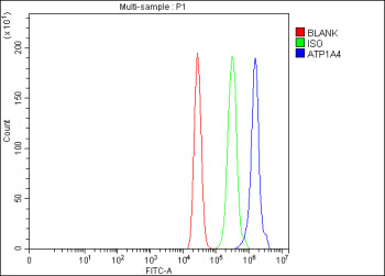 Flow Cytometry analysis of MCF-7 cells using anti-ATP1A4 antibody. Overlay histogram showing MCF-7 cells stained with (Blue line). The cells were fixed with 4% paraformaldehyde and blocked with 10% normal goat serum. And then incubated with rabbit anti-ATP1A4 antibody (1 ug/million cells) for 30 min at 20oC. DyLight 488 conjugated goat anti-rabbit IgG (5-10 ug/million cells) was used as secondary antibody for 30 min at 20oC.