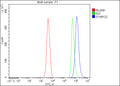 Flow Cytometry analysis of human SH-SY5Y cells using anti-SYNPO2 antibody. Overlay histogram showing SH-SY5Y cells stained with (Blue line). To facilitate intracellular staining, cells were fixed with 4% paraformaldehyde and permeabilized with permeabilization buffer. The cells were blocked with 10% normal goat serum. And then incubated with rabbit anti-SYNPO2 antibody (1 ug/million cells) for 30 min at 20oC.