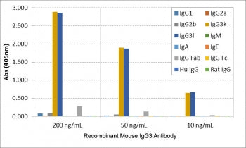 ELISA of mouse immunoglobulins shows the recombinant Mouse IgG3 antibody reacts to both mouse IgG3Îº and IgG3Î»; No cross reactivity with mouse IgG1, IgG2a, IgG2b, IgM, IgA, IgE, human IgG, or rat IgG.