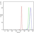 Flow cytometry testing of human HepG2 cells with Cytochrome P450 3A4 antibody at 1ug/million cells (blocked with goat sera); Red=cells alone, Green=isotype control, Blue= Cytochrome P450 3A4 antibody.