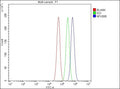 Flow Cytometry analysis of PC-3 cells using anti-NFKBIB antibody. Overlay histogram showing PC-3 cells stained with (Blue line). To facilitate intracellular staining, cells were fixed with 4% paraformaldehyde and permeabilized with permeabilization buffer. The cells were blocked with 10% normal goat serum. And then incubated with rabbit anti-NFKBIB antibody (1 ug/million cells) for 30 min at 20oC.