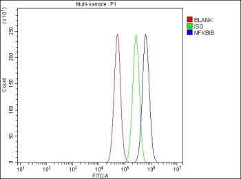 Flow Cytometry analysis of PC-3 cells using anti-NFKBIB antibody. Overlay histogram showing PC-3 cells stained with (Blue line). To facilitate intracellular staining, cells were fixed with 4% paraformaldehyde and permeabilized with permeabilization buffer. The cells were blocked with 10% normal goat serum. And then incubated with rabbit anti-NFKBIB antibody (1 ug/million cells) for 30 min at 20oC.