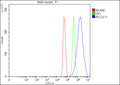 Flow Cytometry analysis of C2C12 cells using anti-Bim antibody. Overlay histogram showing C2C12 cells stained with (Blue line). To facilitate intracellular staining, cells were fixed with 4% paraformaldehyde and permeabilized with permeabilization buffer. The cells were blocked with 10% normal goat serum. And then incubated with rabbit anti-Bim antibody (1 ug/million cells) for 30 min at 20oC.