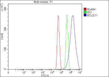 Flow Cytometry analysis of C2C12 cells using anti-Bim antibody. Overlay histogram showing C2C12 cells stained with (Blue line). To facilitate intracellular staining, cells were fixed with 4% paraformaldehyde and permeabilized with permeabilization buffer. The cells were blocked with 10% normal goat serum. And then incubated with rabbit anti-Bim antibody (1 ug/million cells) for 30 min at 20oC.