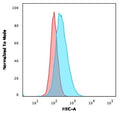 Flow cytometry testing of human A549 cells with CD14 antibody (clone LPSR/2386); Red=isotype control, Blue= CD14 antibody.