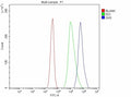 Flow Cytometry analysis of JK cells using anti-GK5 antibody. Overlay histogram showing JK cells stained with (Blue line). To facilitate intracellular staining, cells were fixed with 4% paraformaldehyde and permeabilized with permeabilization buffer. The cells were blocked with 10% normal goat serum. And then incubated with rabbit anti-GK5 antibody (1 ug/million cells) for 30 min at 20oC. DyLight 488 conjugated goat anti-rabbit IgG (5-10 ug/million cells) was used as secondary antibody for 30 min at 20oC.