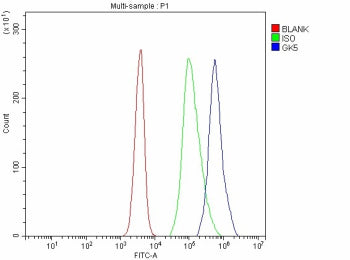 Flow Cytometry analysis of JK cells using anti-GK5 antibody. Overlay histogram showing JK cells stained with (Blue line). To facilitate intracellular staining, cells were fixed with 4% paraformaldehyde and permeabilized with permeabilization buffer. The cells were blocked with 10% normal goat serum. And then incubated with rabbit anti-GK5 antibody (1 ug/million cells) for 30 min at 20oC. DyLight 488 conjugated goat anti-rabbit IgG (5-10 ug/million cells) was used as secondary antibody for 30 min at 20oC.