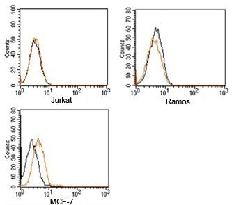 FACS testing of Rabbit IgG isotype control antibody PE conjugate on human samples. Black=cells alone, orange= isotype control antibody