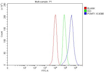 Flow Cytometry analysis of MCF-7 cells using anti-POMT1 antibody. Overlay histogram showing MCF-7 cells stained with (Blue line). To facilitate intracellular staining, cells were fixed with 4% paraformaldehyde and permeabilized with permeabilization buffer. The cells were blocked with 10% normal goat serum. And then incubated with rabbit anti-POMT1 antibody (1 ug/million cells) for 30 min at 20oC.