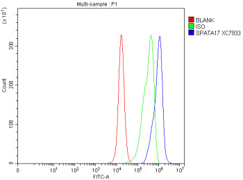 Flow Cytometry analysis of PC-3 cells using anti-SPATA17 antibody. Overlay histogram showing PC-3 cells stained with (Blue line). To facilitate intracellular staining, cells were fixed with 4% paraformaldehyde and permeabilized with permeabilization buffer. The cells were blocked with 10% normal goat serum. And then incubated with rabbit anti-SPATA17 antibody (1 ug/million cells) for 30 min at 20oC.