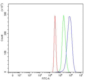 Flow cytometry testing of fixed and permeabilized human HepG2 cells with Lysozyme C antibody at 1ug/million cells (blocked with goat sera); Red=cells alone, Green=isotype control, Blue= Lysozyme C antibody.