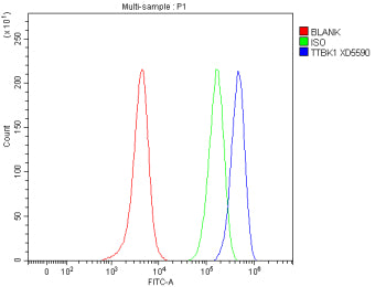 Flow Cytometry analysis of SH-SY5Y cells using anti-TTBK1 antibody. Overlay histogram showing SH-SY5Y cells stained with (Blue line). To facilitate intracellular staining, cells were fixed with 4% paraformaldehyde and permeabilized with permeabilization buffer. The cells were blocked with 10% normal goat serum. And then incubated with rabbit anti-TTBK1 antibody (1 ug/million cells) for 30 min at 20oC.