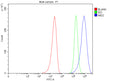 Flow Cytometry analysis of MCF-7 cells using anti-MID2 antibody. Overlay histogram showing MCF-7 cells stained with (Blue line). To facilitate intracellular staining, cells were fixed with 4% paraformaldehyde and permeabilized with permeabilization buffer. The cells were blocked with 10% normal goat serum. And then incubated with rabbit anti-MID2 antibody (1 ug/million cells) for 30 min at 20oC.