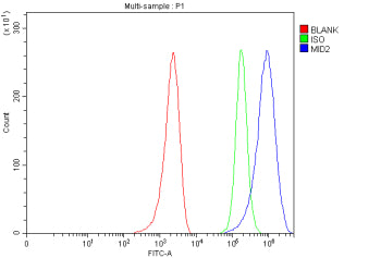 Flow Cytometry analysis of MCF-7 cells using anti-MID2 antibody. Overlay histogram showing MCF-7 cells stained with (Blue line). To facilitate intracellular staining, cells were fixed with 4% paraformaldehyde and permeabilized with permeabilization buffer. The cells were blocked with 10% normal goat serum. And then incubated with rabbit anti-MID2 antibody (1 ug/million cells) for 30 min at 20oC.