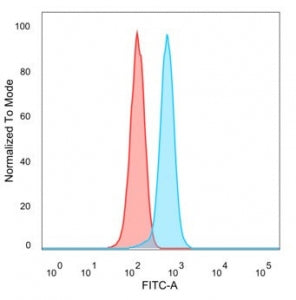 Flow cytometry testing of PFA-fixed human HeLa cells with GTF2I antibody (clone PCRP-GTF2I-1A7) followed by goat anti-mouse IgG-CF488 (blue); Red = unstained cells.