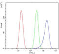 Flow cytometry testing of human HeLa cells with FLNB antibody at 1ug/million cells (blocked with goat sera); Red=cells alone, Green=isotype control, Blue= FLNB antibody.