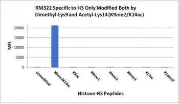 The H3K9me2/K14ac antibody specifically reacts to Histone H3 only when modified at both dimethyl-lysine 9 and acetyl-lysine 14 (K9me2/K14ac). No cross reactivity with non-modified Lysine 9/14, methylated Lysine 9 (K9me1, k9me2, k9me3) ONLY, acetylated Lysine 9/14 ONLY, or methylated Lysine 14 (K14me2) ONLY, in Histone H3.