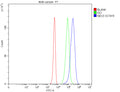Flow Cytometry analysis of 293T cells using anti-NEU3 antibody. Overlay histogram showing 293T cells stained with (Blue line). The cells were fixed with 4% paraformaldehyde and blocked with 10% normal goat serum. And then incubated with rabbit anti-NEU3 antibody (1 ug/million cells) for 30 min at 20oC. DyLight 488 conjugated goat anti-rabbit IgG (5-10 ug/million cells) was used as secondary antibody for 30 min at 20oC.