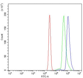 Flow cytometry testing of human U937 cells with DNM2 antibody at 1ug/million cells (blocked with goat sera); Red=cells alone, Green=isotype control, Blue= DNM2 antibody.