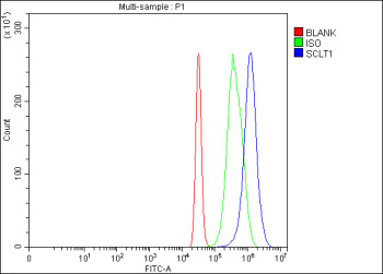 Flow Cytometry analysis of 293T cells using anti-SCLT1 antibody. Overlay histogram showing 293T cells stained with (Blue line). To facilitate intracellular staining, cells were fixed with 4% paraformaldehyde and permeabilized with permeabilization buffer. The cells were blocked with 10% normal goat serum. And then incubated with rabbit anti-SCLT1 antibody (1 ug/million cells) for 30 min at 20oC.