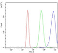 Flow cytometry testing of human Neuro-2a cells with Oat3 antibody at 1ug/million cells (blocked with goat sera); Red=cells alone, Green=isotype control, Blue= Oat3 antibody.