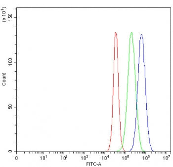 Flow cytometry testing of human U-87 MG cells with DDB2 antibody at 1ug/million cells (blocked with goat sera); Red=cells alone, Green=isotype control, Blue= DDB2 antibody.