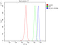 Flow Cytometry analysis of SH-SY5Y cells using anti-PIK3C3 antibody. Overlay histogram showing SH-SY5Y cells stained with (Blue line). To facilitate intracellular staining, cells were fixed with 4% paraformaldehyde and permeabilized with permeabilization buffer. The cells were blocked with 10% normal goat serum. And then incubated with rabbit anti-PIK3C3 antibody (1 ug/million cells) for 30 min at 20oC.
