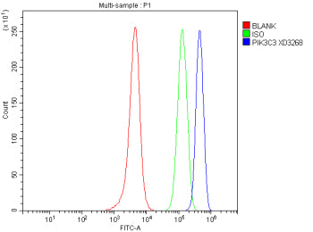 Flow Cytometry analysis of SH-SY5Y cells using anti-PIK3C3 antibody. Overlay histogram showing SH-SY5Y cells stained with (Blue line). To facilitate intracellular staining, cells were fixed with 4% paraformaldehyde and permeabilized with permeabilization buffer. The cells were blocked with 10% normal goat serum. And then incubated with rabbit anti-PIK3C3 antibody (1 ug/million cells) for 30 min at 20oC.