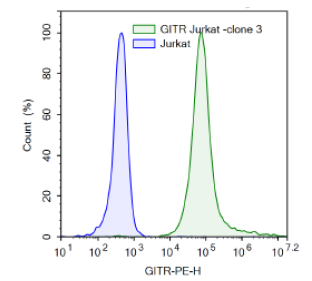 GITR / NF-κB Luciferase Reporter - Jurkat Cell Line – Figure 1 of 5