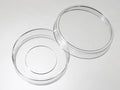 55 mm Glass Bottom Dishes – 55 mm dish with 30 mm micro-well (D60-30-0-N, D60-30-1-N, D60-30-1.5-N)