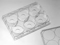 6 Micro-Well Glass Bottom Plates – P06-14-0-N, P06-14-1-N and P06-14-1.5-N, 14 mm micro-well