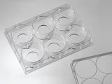 6 Micro-Well Glass Bottom Plates – P06-20-1-N and P06-20-1.5-N, 20 mm micro-well