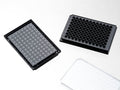 96 Well Glass Bottom Plates – P96-0-N, P96-1-N, P96-1.5H-N and P96-1.5P, 96-well plate, black frame