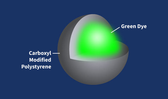 Green Carboxyl Fluorescent Nanoparticle