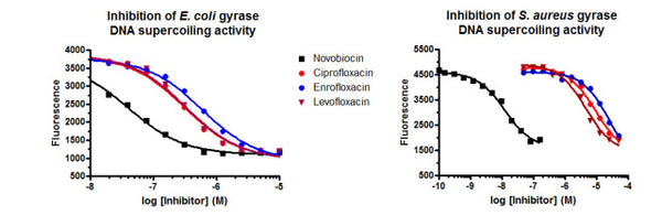 E. coli DNA Topoisomerase II (Gyrase) Assay Kit – Figure 1 of 1