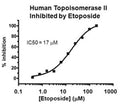 Gel-Based Human Topoisomerase II DNA Decatenation Assay Kit Plus – Figure 1 of 1