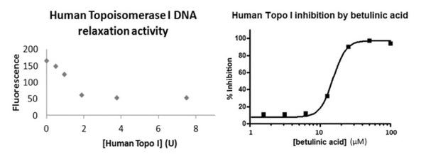 Human Topoisomerase I DNA Relaxation Assay Kit – Figure 1 of 1