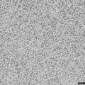 HAL-01 cell