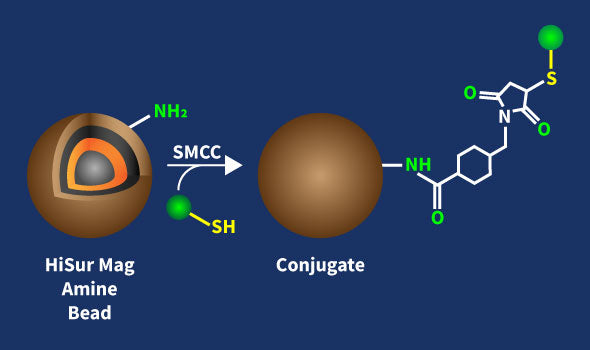 HiSur Amine Beads Conjugation Kit – Figure 1 of 1