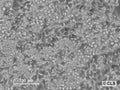 HROC24 T1 M1 cell