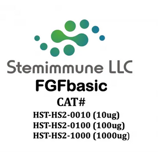 Heat-Stable Recombinant Human FGF-basic Protein