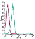 Anti-Human CX3CR1 (extracellular)-FITC Antibody