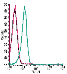 Anti-Human CX3CR1 (extracellular)-FITC Antibody