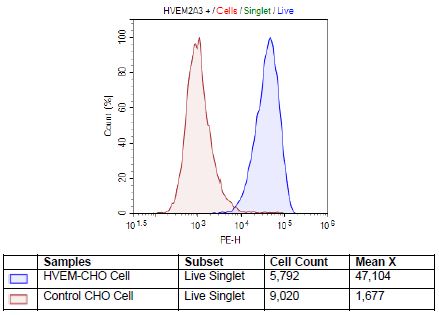 HVEM - CHO Recombinant Cell Line – Figure 1 of 1