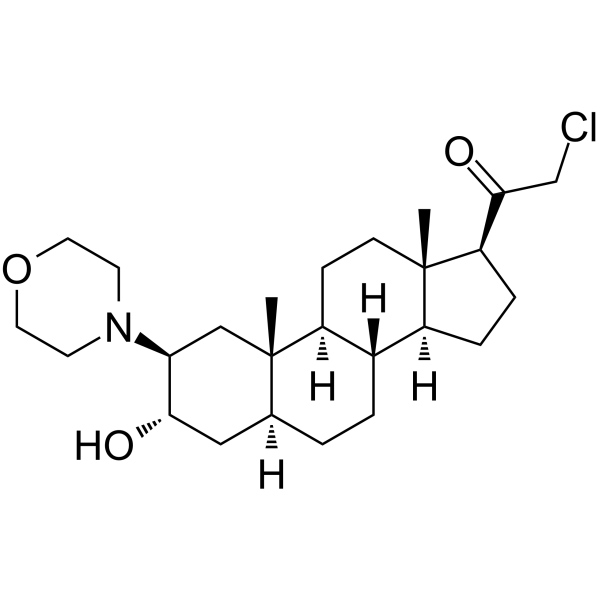 Org20599 – Figure 1 of 1