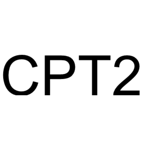 CPT2 – Figure 1 of 1
